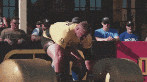 Discipline: The Foundation of Success