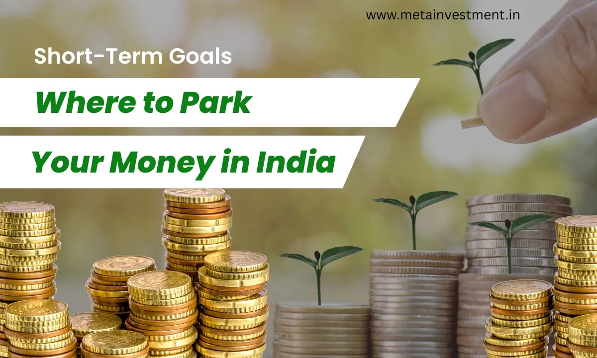 Where to Park Your Money in India